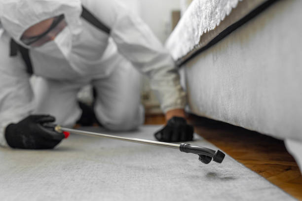 Professional Bed Bug Control technician working in Mono Vista, CA