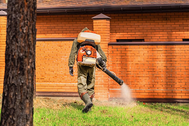 Trusted Cockroach Control service in Mono Vista, CA - Nex Pest Control